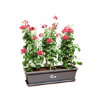 barcelona xl schotel 80cm antraciet